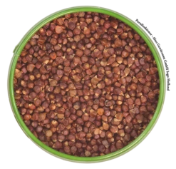 Titelseite -VIKTUALIEN Verkäufe altes gewuerzamt paradieskoerner 700sq