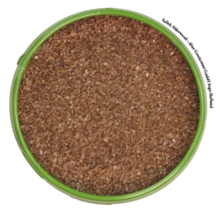 Titelseite -VIKTUALIEN Verkäufe altes gewuerzamt salish alderwood